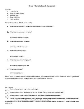 Image result for Hand Washing Experiment with Bread