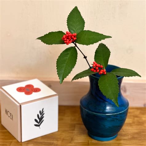 Blue Sara | hellomyonlyone