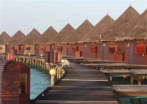 Languages of The Maldives | A Complete Guide To Break The Barrier