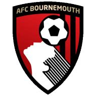 Bournemouth 1-0 Fulham: results, summary and goals