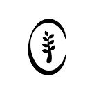 Image result for Clean Conscience