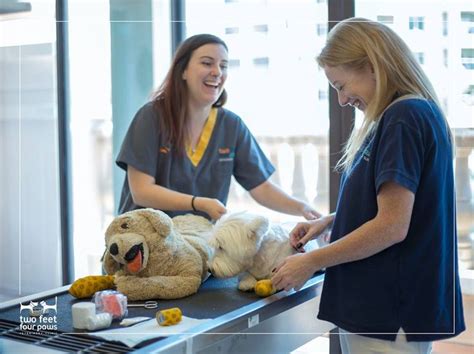 mobile pet grooming dubai