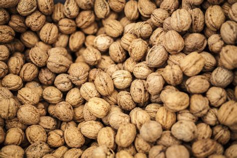 Nueces Bilder - Durchsuchen 4,369 Archivfotos, Vektorgrafiken und ...