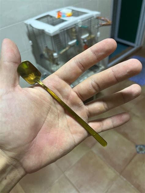 Pet Parrot Hand Feeding Formula 的图像结果