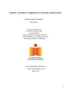Finding Universal Inhibitor of Amyloid Aggregation - raiith