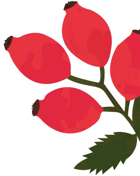 Speak With Our Certified Beauty Experts - Juicy Chemistry