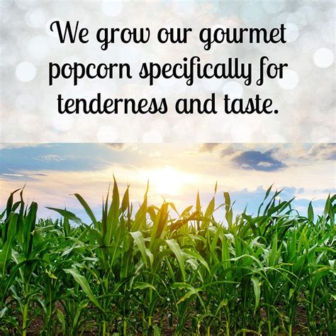 Buy Wabash Valley Farms Starter Pack - 6 lb Big & Yellow Kernels - 30 ...