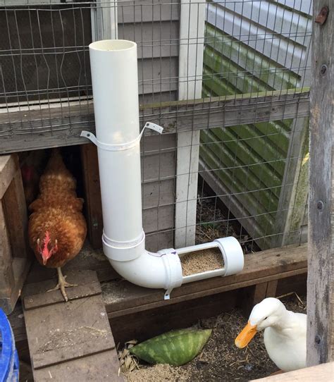 DIY PVC Chicken and Duck Feeder | Farming Made Easy