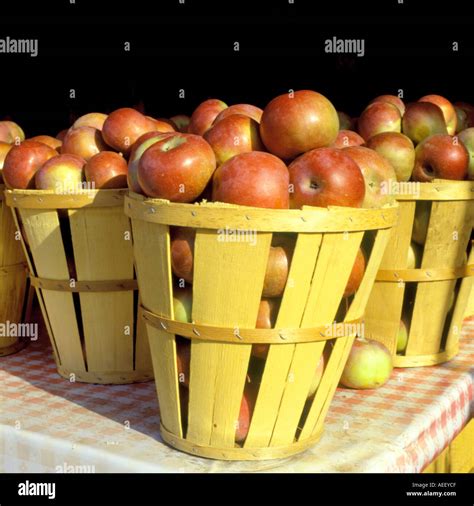 Bushel of Apples Stock Photo - Alamy