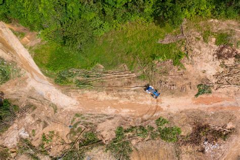 Agriculture, biodiversity loss and climate change - SeedChange : SeedChange