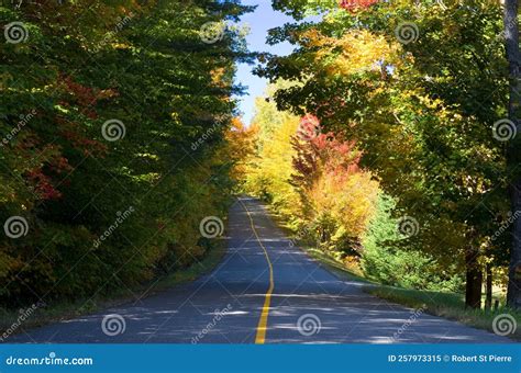 Fall in the Country 的图像结果