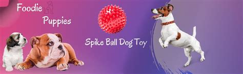 Buy Foodie Puppies Spike Hard Ball Rubber Stud for Dogs & Pets, Medium ...