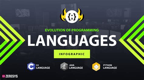 Image result for Programmer Evolution