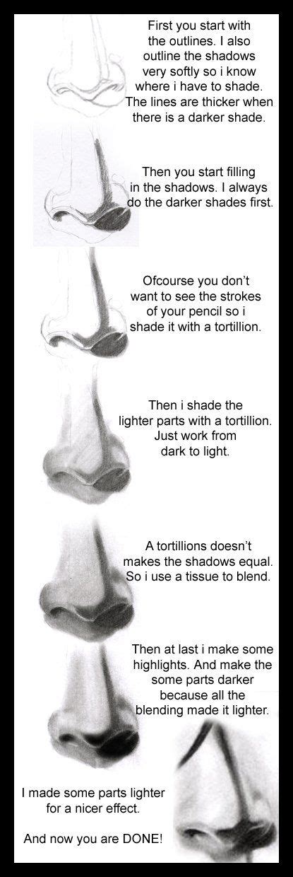 Image result for Nose Tutorial