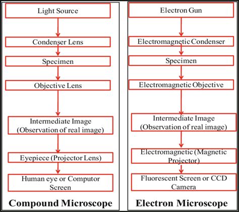 Image result for Comparison Microscope