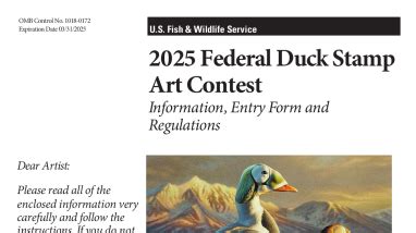 2025 Federal Duck Stamp Art Contest Regulations | FWS.gov