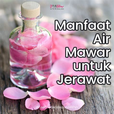 manfaat air mawar untuk jerawat