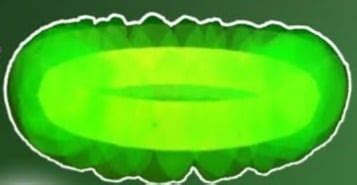 Image result for Alien Halo