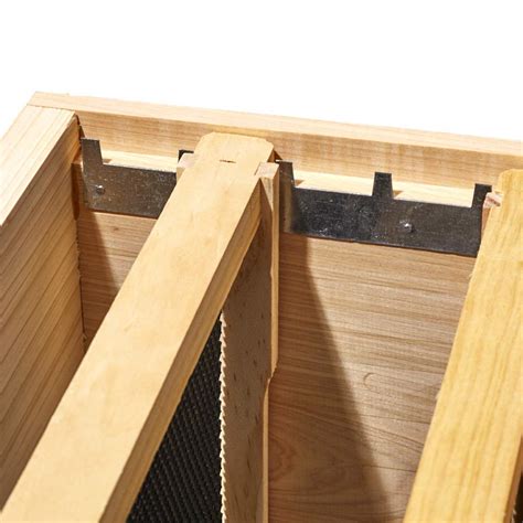 20 Pack - Metal, Ten Frame Steel Beekeeping Spacers for Spacing Bee ...