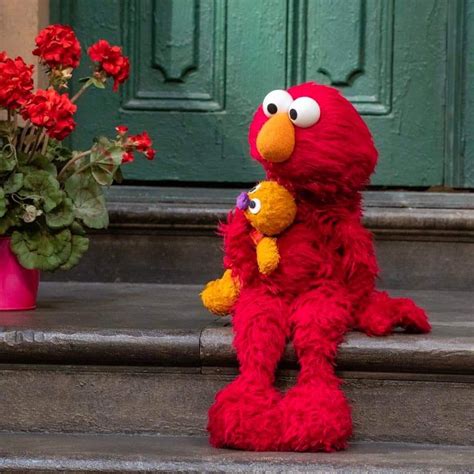 Best 12 Sesame Street – Rocco Makes Elmo Go Berserk – Artofit