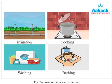 Rainwater Harvesting: Diagram, Purpose, Advantages & Quality | AESL