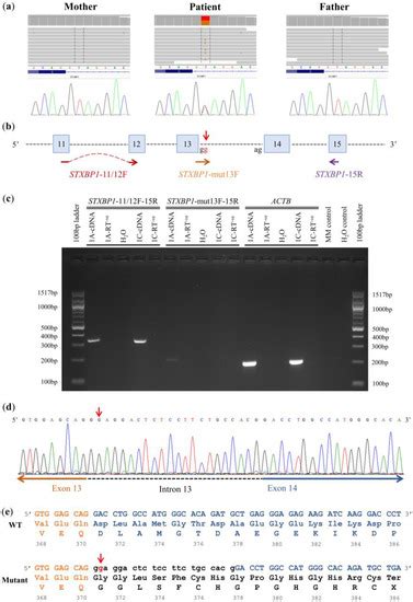 Exploring the Genetic Causality of Discordant Phenotypes in Familial ...