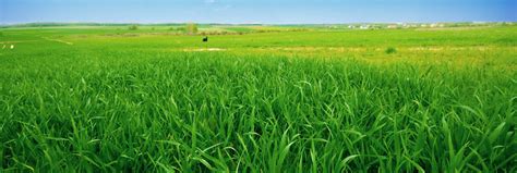 Agriculture - Protect Our Livelihood