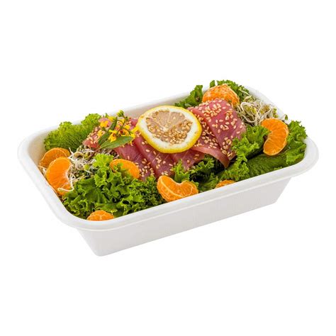 Buy Pulp Tek 32 Ounce Base Containers, 100 Biodegradable Compostable ...