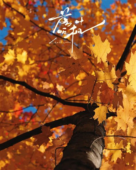 Joshy & Hai | Boys Love 💕 Special Wake Up For My Boyfriend 🥺 🥰 #gaycouple #gay #couple #bl # ...