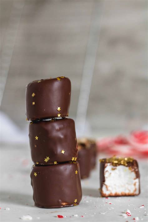 Marshmallows Covered In Chocolate And Coconut at Sophie Catani blog