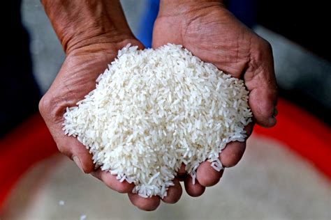 辛巴卖米5分钟售4千吨，周杰卖米揽上亿，但都不及小米有品这款_五常