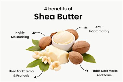 The Science Behind Shea Butter: A Trusted Moisturizing Agent – Fixderma ...