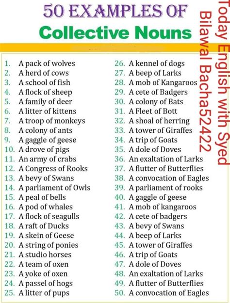 50 Examples of Collective Nouns