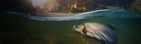 Home Environment Perú – ¡Bienvenido a HOME ENVIRONMENTAL PERU SAC!