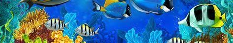 Download wallpaper sea, fish, corals, the bottom of the sea, section ...