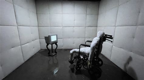 Padded Cell Mental Hospital