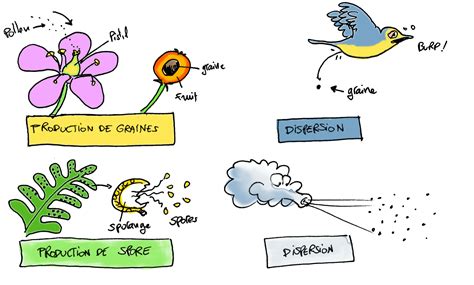 Image result for Programme SVT 6Eme