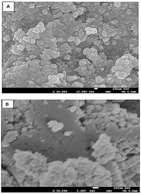 Silver Nanoparticles Decorated with Curcumin Enhance the Efficacy of ...