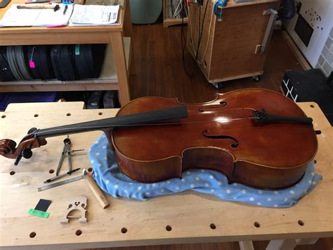 Cello String Set Up 的图像结果