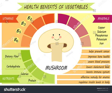 Oyster Mushroom Facts Health Benefits Nutritional Value Mycochemicals