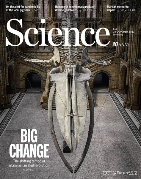 Recent Science 的图像结果