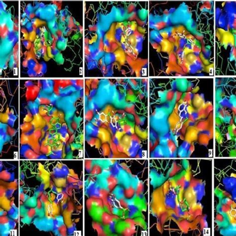Image result for Well Diffusion Method