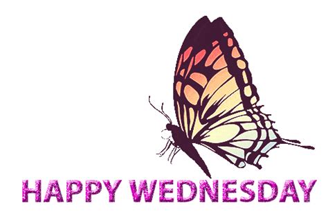 Happy Wednesday Gif - GIFcen