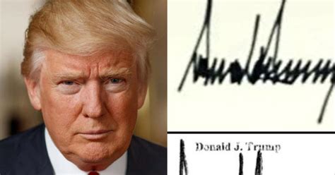 Donald Trump's mysterious Epstein 'birthday book' scandal: Netizens ...