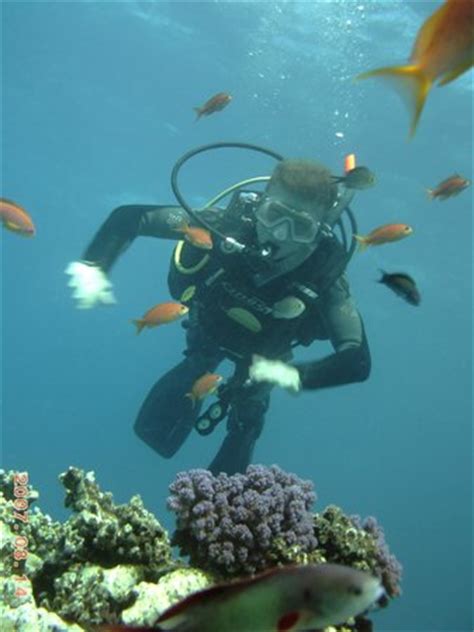 Scuba Tribe diving center (Hurghada) - 2021 What to Know Before You Go ...