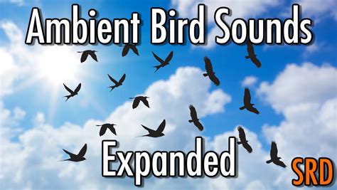 Ambient Bird Sounds Expanded (SRD) 環境 - Skyrim Special Edition Mod ...