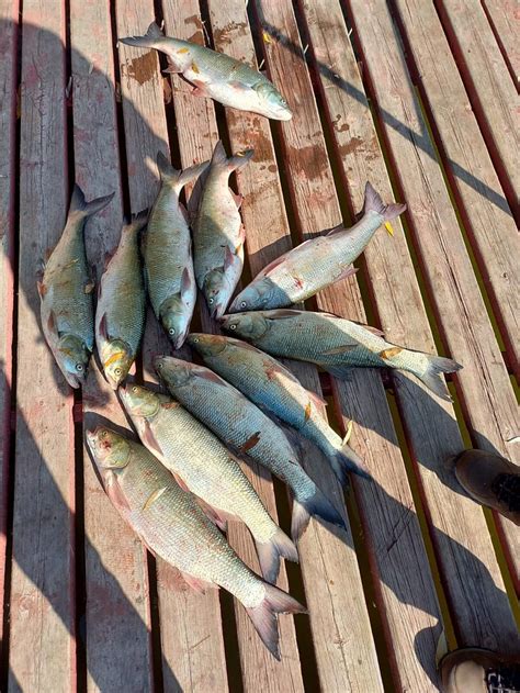 GLAGOL (Astrakhan) - Tourist Base Reviews & Photos - Tripadvisor