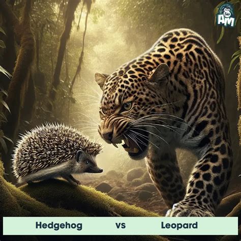 Image result for Python vs Leopard