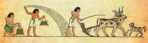 Beginning of Farming 的图像结果