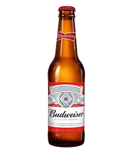 10 light beer selections between Rs 150 and Rs 200 that will keep you ...